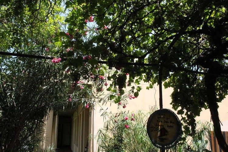 Sosahaus Hostel Mendoza0
