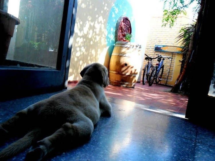 Sosahaus Hostel Mendoza3