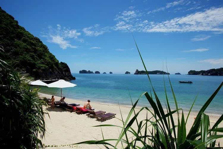 Monkey Island Resort Monkey Island Resort