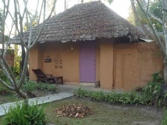 Amy's Earth House Amy's Earth House