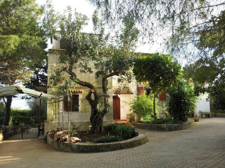 B&B Eurialo4