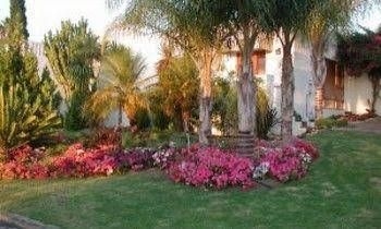 Casablanca Bed and Breakfast3
