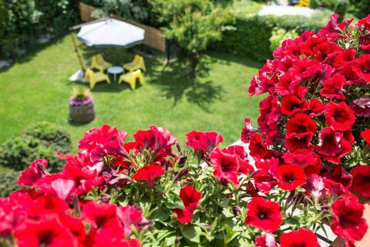 B&B Il Girasole B&B Il Girasole