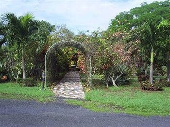 Hotel Los Guayacanes4