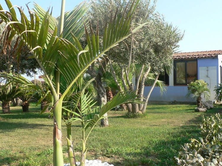 B&B Villa Francesco1