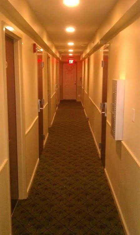 Buckingham Hotel Ocean City4
