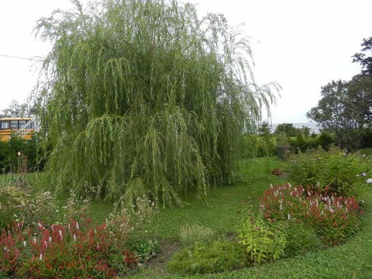 Gite La Ptite Falaise Bed and Breakfast