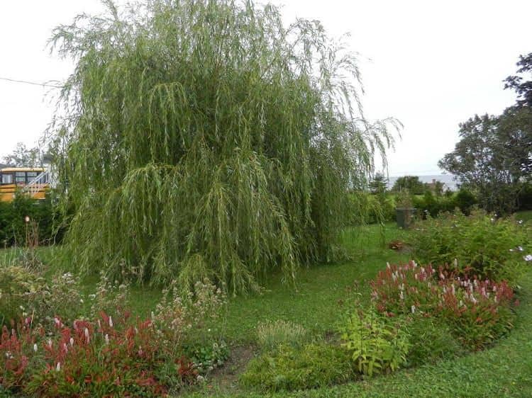 Gite La Ptite Falaise Bed and Breakfast Gite La Ptite Falaise Bed and Breakfast