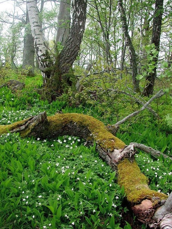 Granso Slott Hotel & Spa3