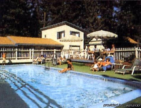 Stevenson's Holliday Inn2