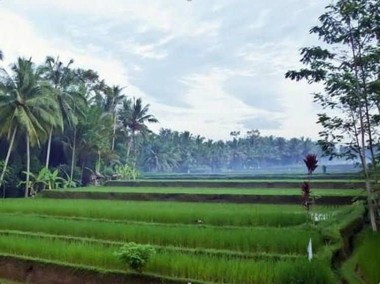 วิลล่าจันจันกันรีสอร์ทพูล & สปา วิลล่าจันจันกันรีสอร์ทพูล & สปา
