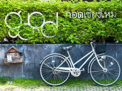 Gord Chiangmai Gord Chiangmai