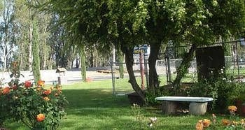 Blue Gum Motel3