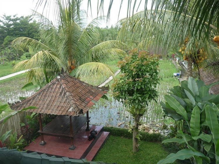 Guest House Kudos2