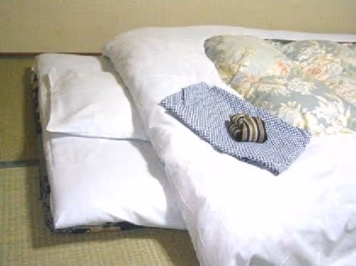 Japanese-Style Room