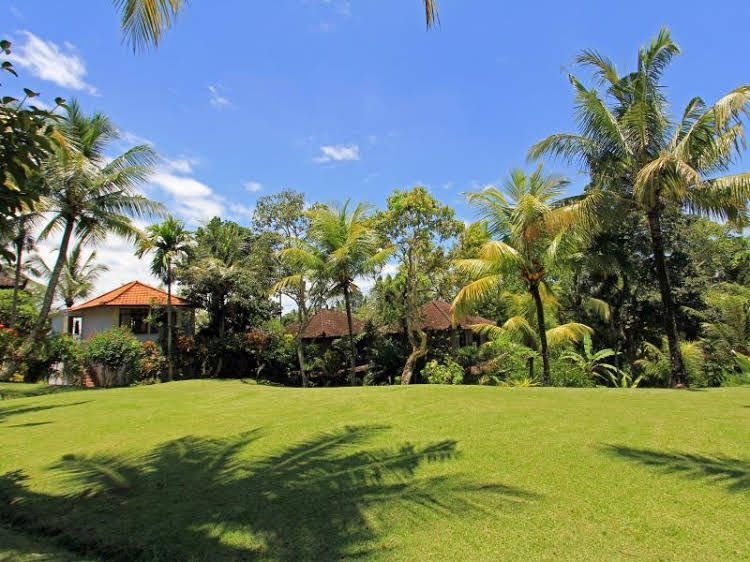 บูจู วิว รีสอร์ต (Bucu View Resort)2