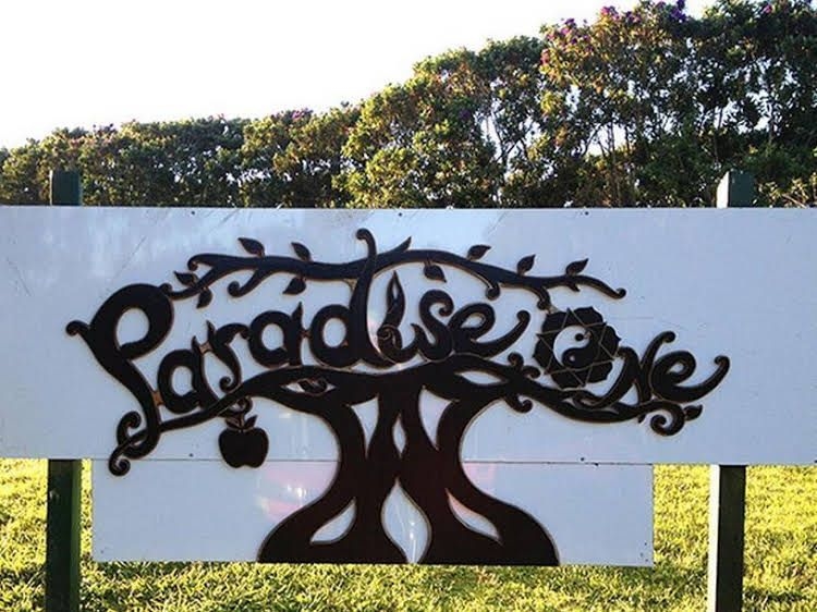 Paradise One2