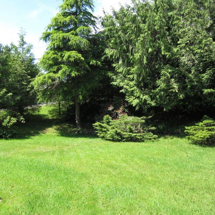 A Balsam House2