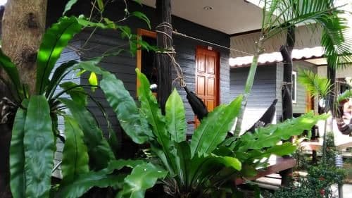 One-Bedroom Bungalow