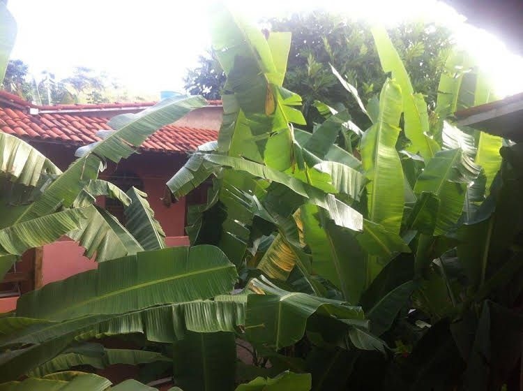 Pousada Pico das Praias4