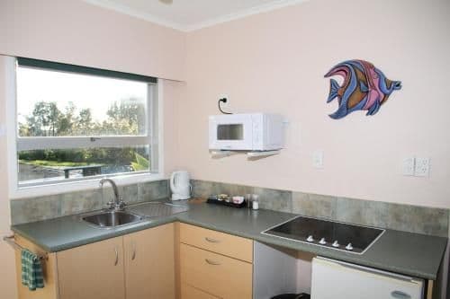 Two-Bedroom Apartment with Ocean View
