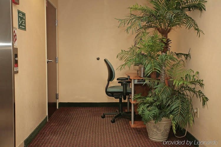 Americas Best Value Inn Louisville3