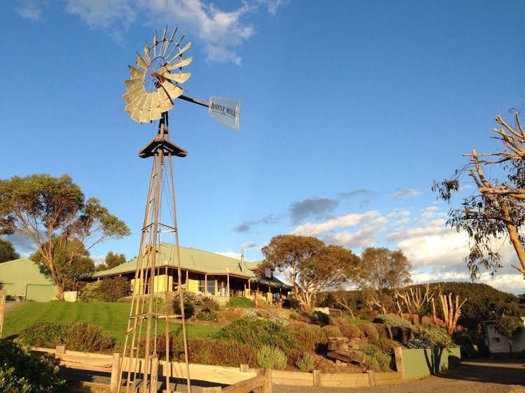 Daysy Hill Country Cottages3