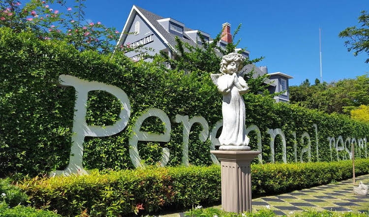 เพเรนเนียล รีสอร์ท (Perennial Resort)1