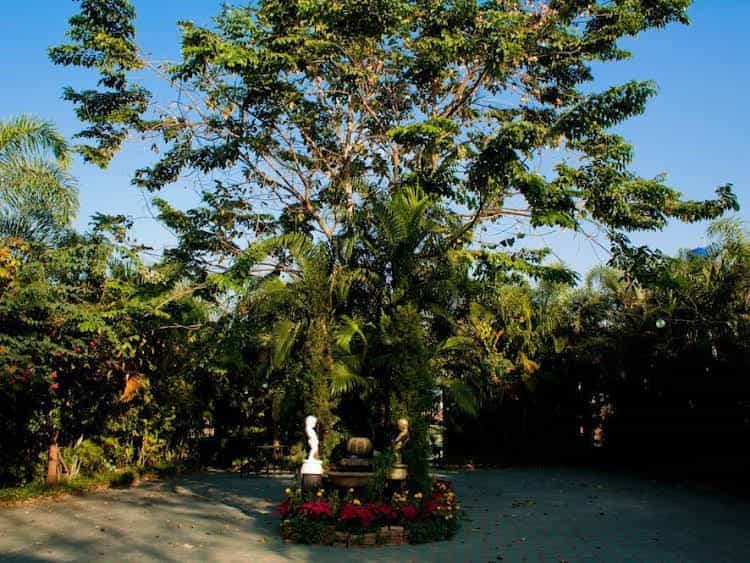 Baan Puang Petch Baan Puang Petch