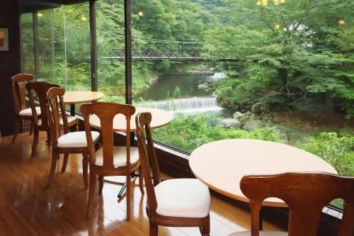 Twin Room with River View