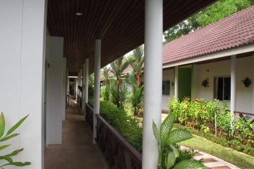 Deluxe Bungalow