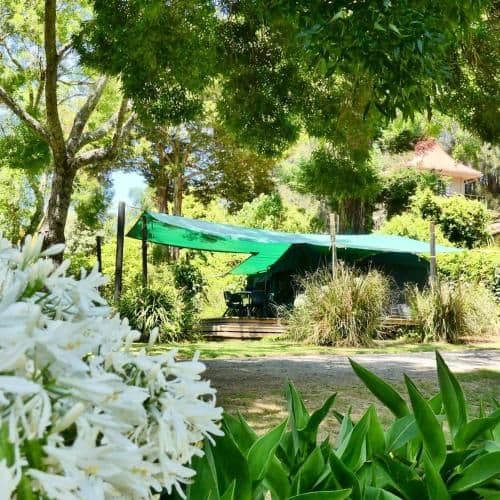 Tent with Shared Bathroom (4 Adults)
