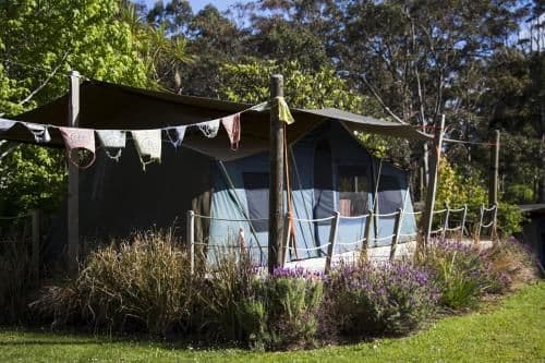Tent with Shared Bathroom (4 Adults)