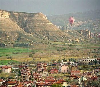 Bir Kedi Villa2
