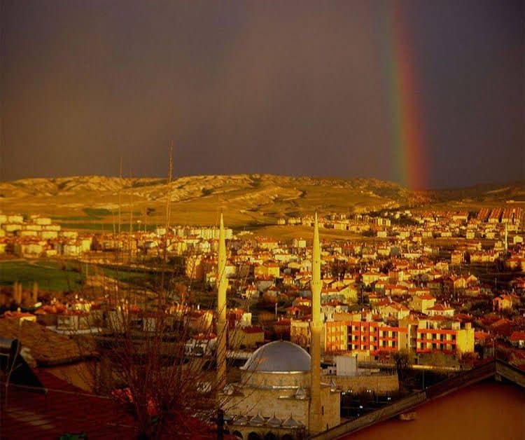 Bir Kedi Villa Bir Kedi Villa