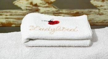 B&B Ladybird4