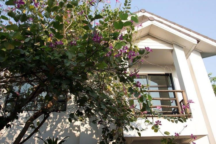 ชญาดา การ์เด้น เฮ้าส์ แอนด์ รีสอร์ท โฮเทล (Chayada Garden House and Resort Hotel)2