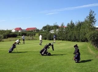 Icelandair Hotel Fludir4
