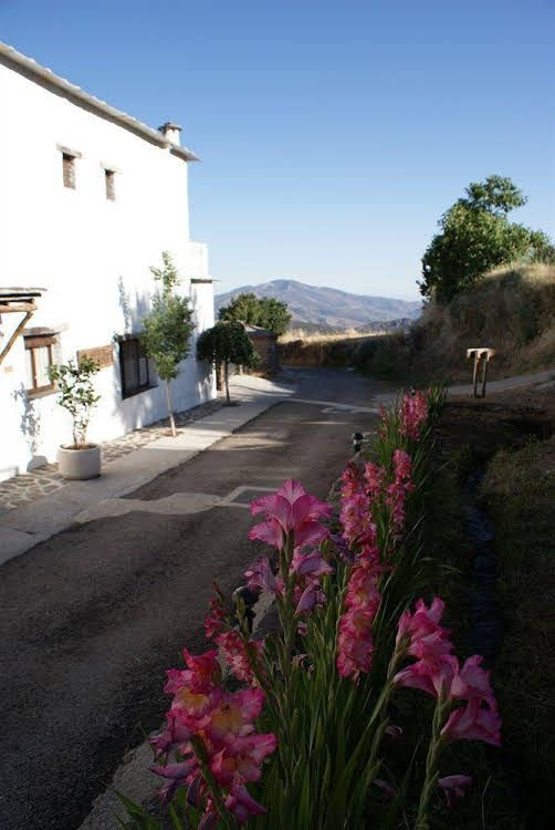 Hotel Maravedi1
