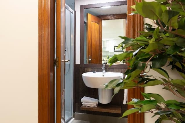 APARTMENT SUPERIOR CAPACITY 4