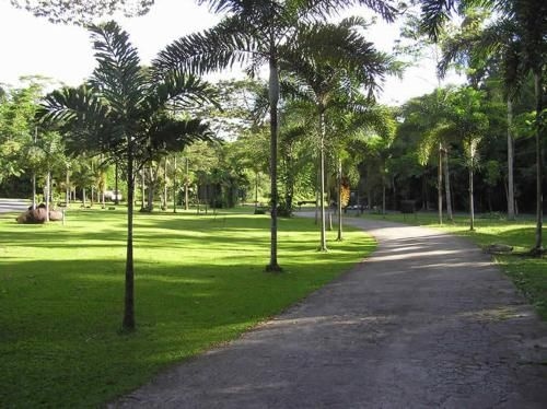 Lync Haven Rainforest Retreat4