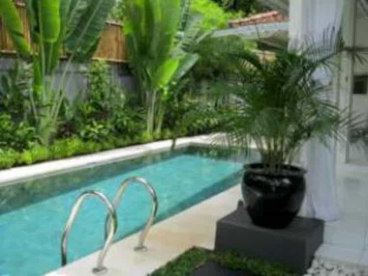 Villa Rumah Putih Villa Rumah Putih