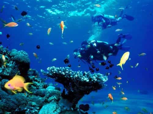 Saigon Phu Quoc Resort and Spa Saigon Phu Quoc Resort and Spa