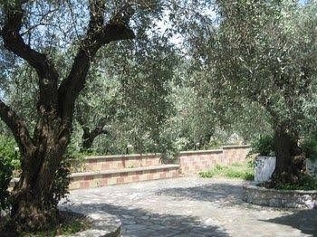 Pefkos Studios4