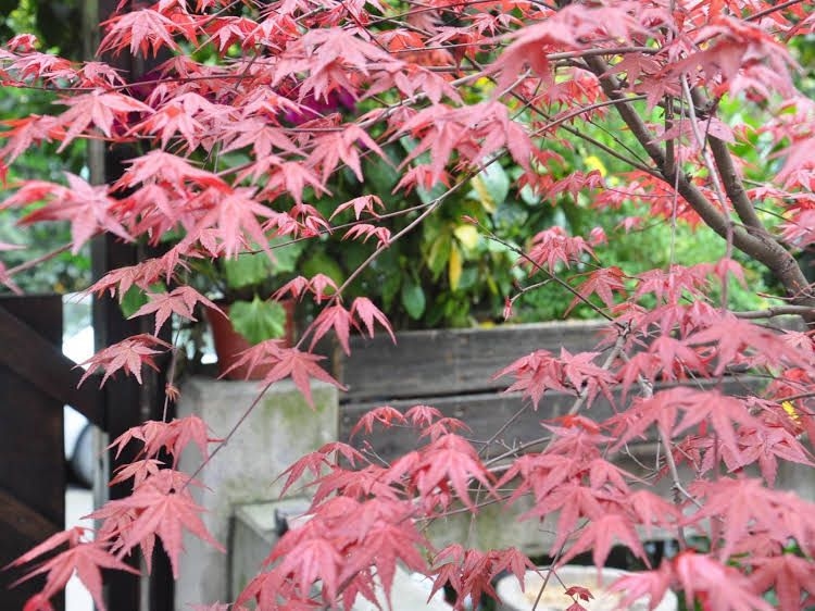 Hangzhou Touran Backpack Hostel1