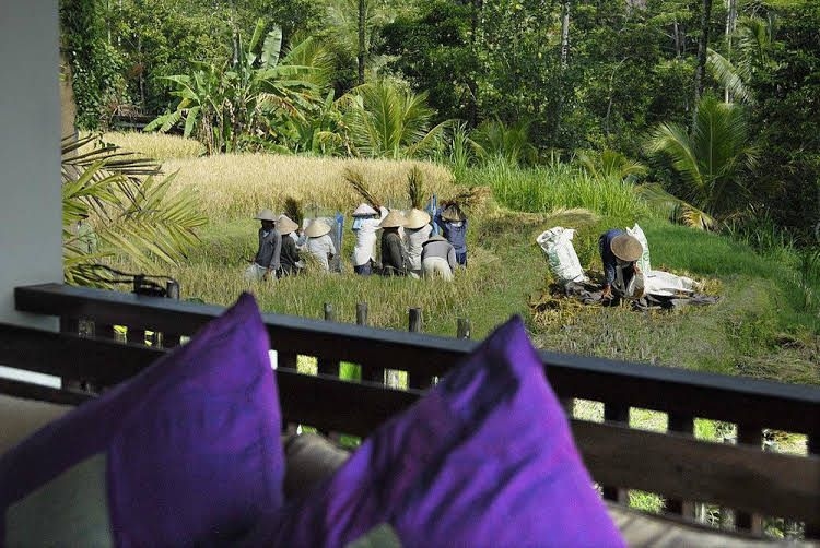 Villa Bayad0