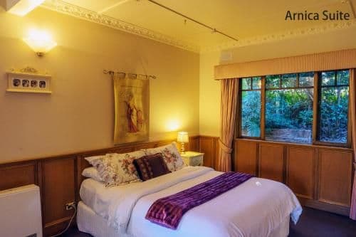 Arnica Queen Suite