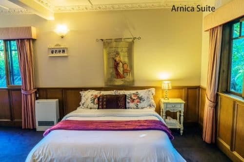 Arnica Queen Suite