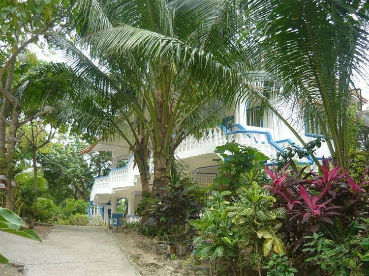 Mangrove Oriental Resort Malapascua0