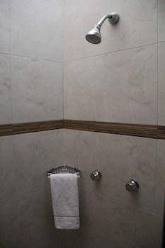 Hotel Real Zapopan2